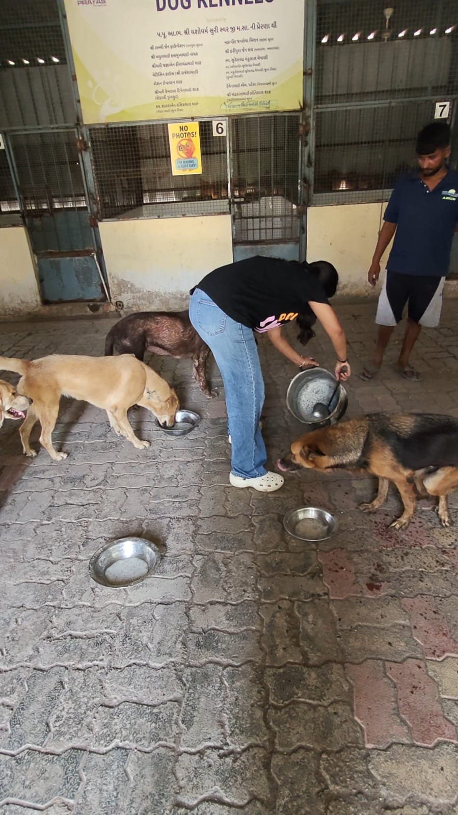 Providing water and care to dogs in a kennel